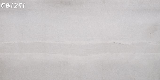 Van het het Lichaamsporselein van Carrara Volledige Tegel 24 van het de Vloerporselein van '' X48“ Matte de Rustieke Tegel Moderne Witte Kleur